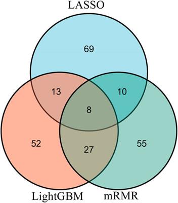 Identification of protein–protein interaction associated functions based on gene ontology and KEGG pathway